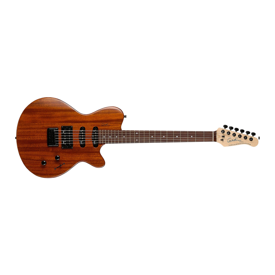 Godin Exit22 User Manual
