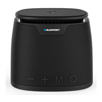 Blaupunkt BLP3010 User Manual