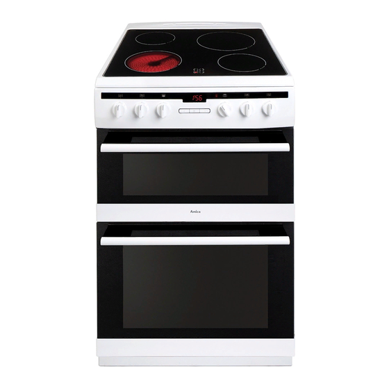Amica 6017DEE2.20HTaOFJQW Manuals