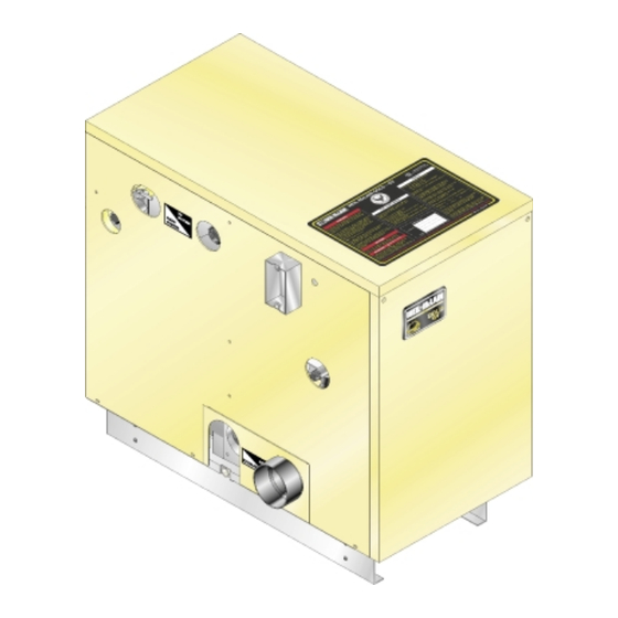 Weil-McLain GOLD GV 3 Series Manual