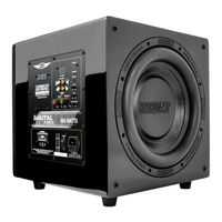 EarthQuake MiniMe DSP P10 User Manual