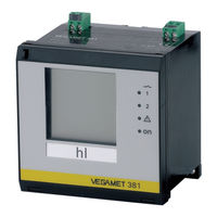 Vega Vegamet 381 Operating Instructions Manual