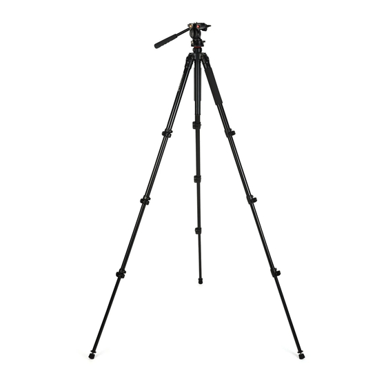 Celestron Regal Tripod Quick Setup Manual