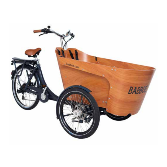 Babboe Carve-E User Manual