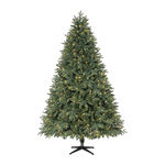 Home Accents Holiday TG76P3945D09 Manual