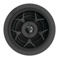 Origin Acoustics D53DT Manual