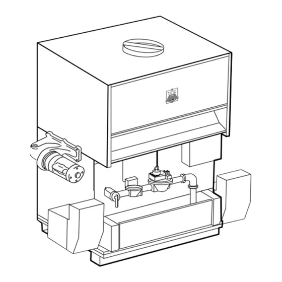 Laars Mighty Therm Installation And Operation Instructions Manual