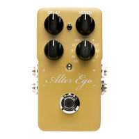 Tc Electronic Alter Ego Delay Manual