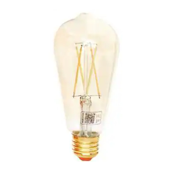 EcoSmart 12AFST1960CCT01 Use And Care Manual