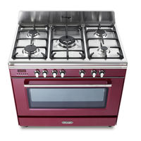 DeLonghi DVRS 916-DF/SLATE Installation & User's Instructions