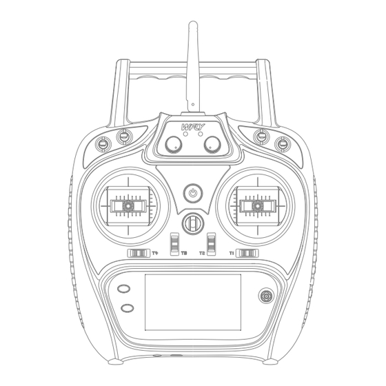 Wfly RF206S Instruction Manual