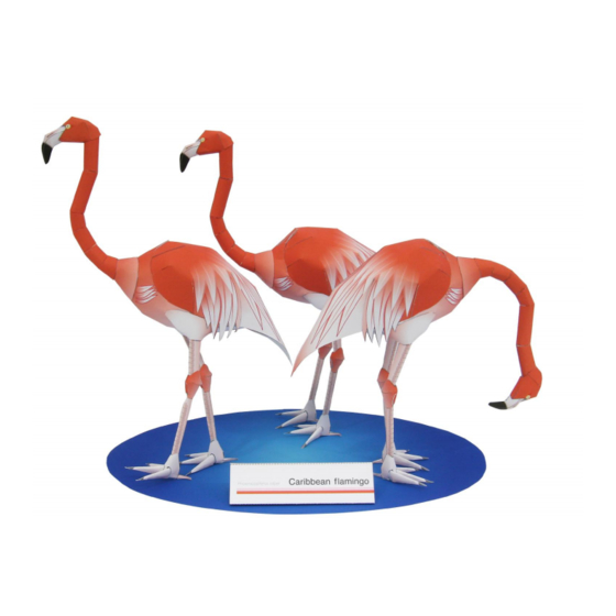 Canon Creative Park Caribbean flamingo Aassembly Instructions