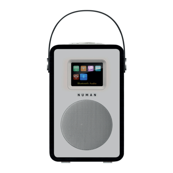 Numan Mini Two Manual