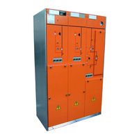 DRIESCHER-WEGBERG MINEX/G.I.S.E.L.A Addition To Operating Manual