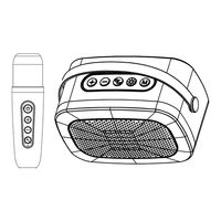 Party Light & Sound 10-9014PLS Manual