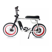 Mario Ebike Retro-Plus Manual