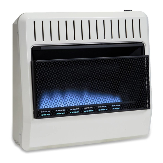 Avenger BLUE FLAME FDT1IR BLUE FLAME FDT2IR Owner's Operation And Installation Manual