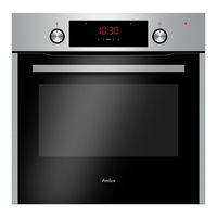 Amica 10223.3HpTbPrDpHbScJVpX Manual