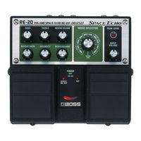 Boss RE-20 COSM Service Notes