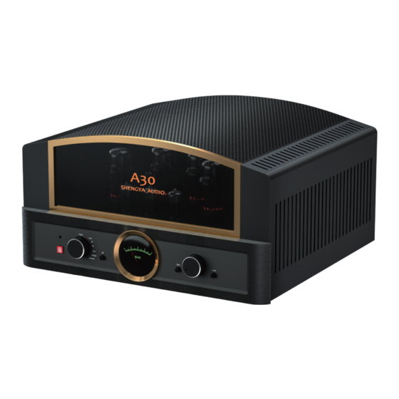 SHENGYA A30 User Manual