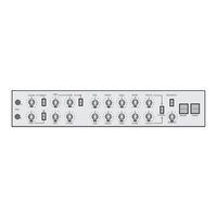 Laney Alliance VC50 User Manual