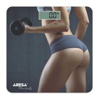 Aresa SB-311 Instruction Manual