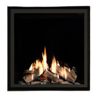 Wildfire RAVEL 750CF User Instructions, Installation Instructions, Service Instructions