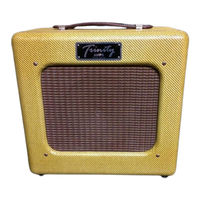 Trinity Amps Triton Builder's Manual
