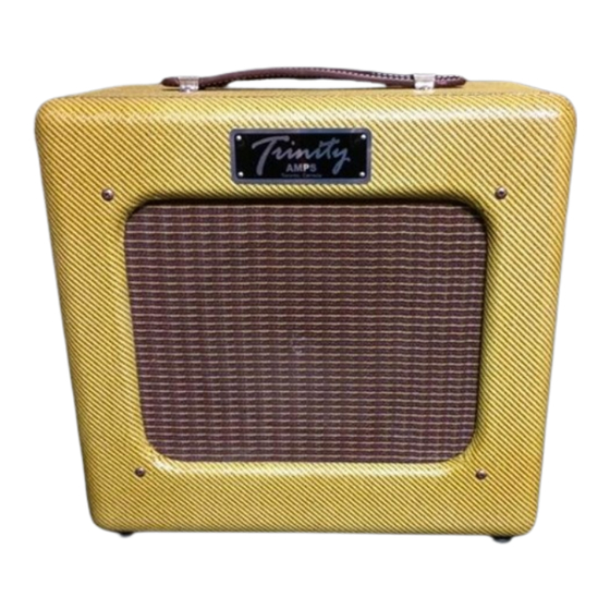Trinity Amps Triton Builder's Manual