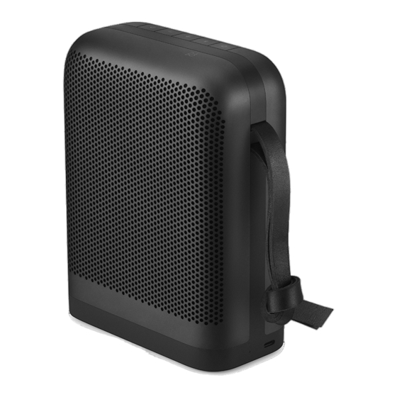 Bang & Olufsen Beoplay P6 User Manual