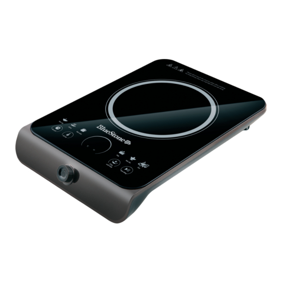 Bluestone ICB-6687 User Manual