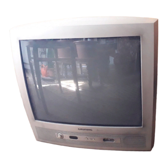 Grundig DAVIO 51 Manual