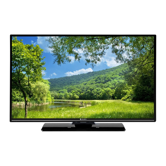 Gogen TVF48N525T Instruction Manual
