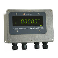 Rinstrum 1203/B Installation Manual