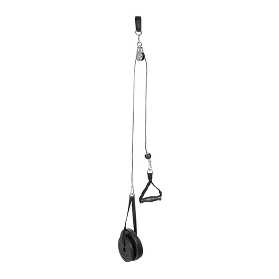 Insportline Puley 100 User Manual