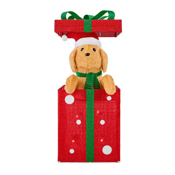 Home Accents Holiday 24RT3192414 Use And Care Manual