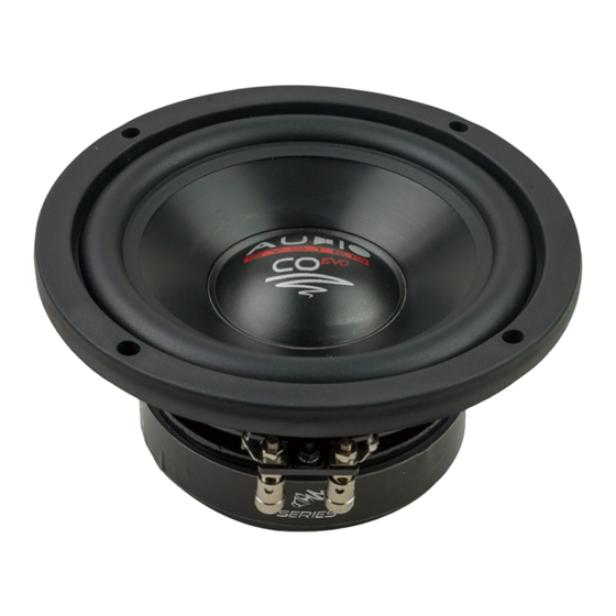 Audio System CO 06 User Manual