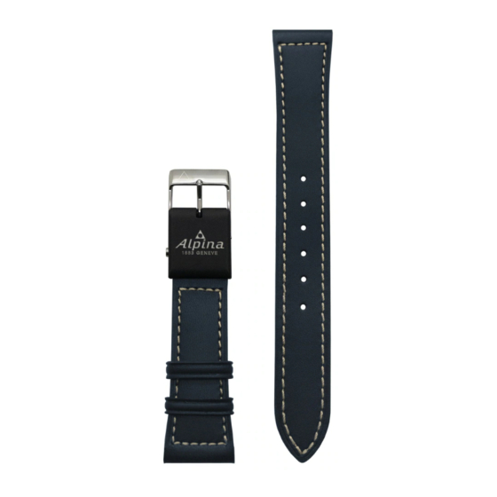 Alpina E-Strap User Manual