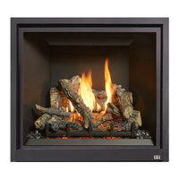FireplaceXtrordinair ProBuilder 36 CleanFace MV Owner's Manual