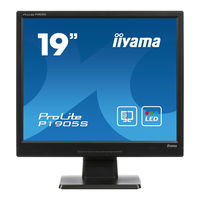 Iiyama ProLite P1905S-1 User Manual