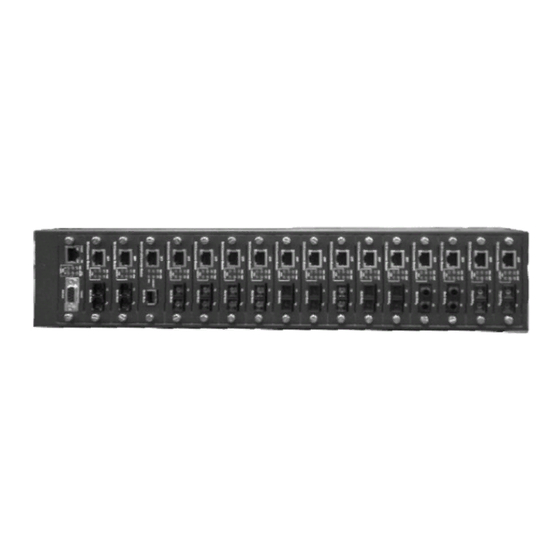 LevelOne FVT-5001 User Manual