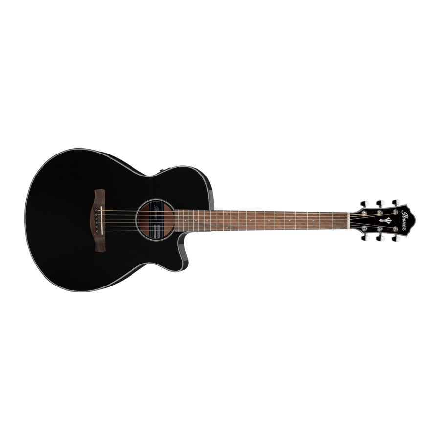 Ibanez ACOUSTIC GUITAR Manual
