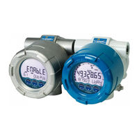 Fluidwell E112-P Manual