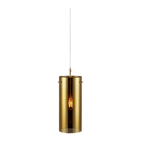 Anslut 425-449 Outdoor Light Manuals