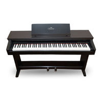 Yamaha Clavinova CLP-250 Owner's Manual