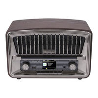 Muse M-135 DBT User Manual