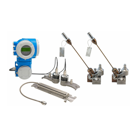 Endress+Hauser Proline Prosonic Flow P 500 Operating Instructions Manual