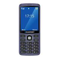 Blaupunkt FL 07 User Manual