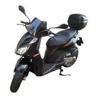 Derbi RAMBLA 250 i.e. 2008 Manual