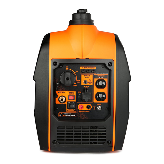 Wen DF250i Instruction Manual